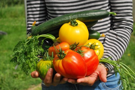 vegetales.jpg